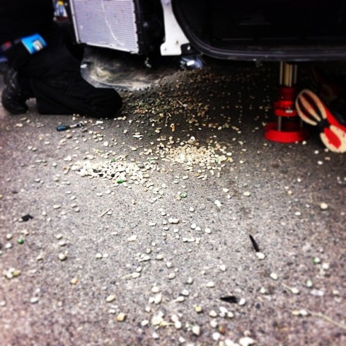 © Leigh O’Gorman.